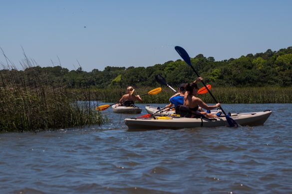 Your Guide to Kayaking On and Off Amelia Island